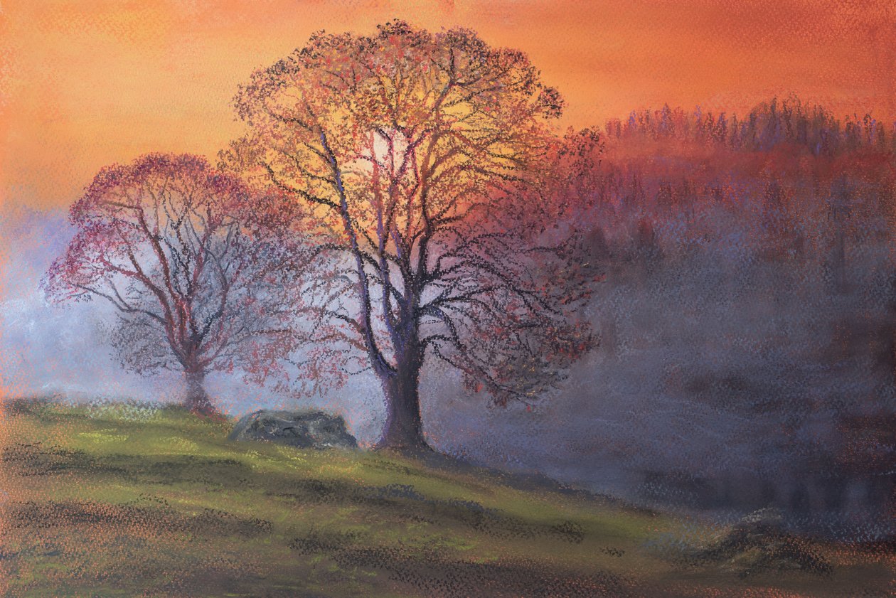 Sol gennem tidlig tåge, 2020 (pastel) af Margo Starkey