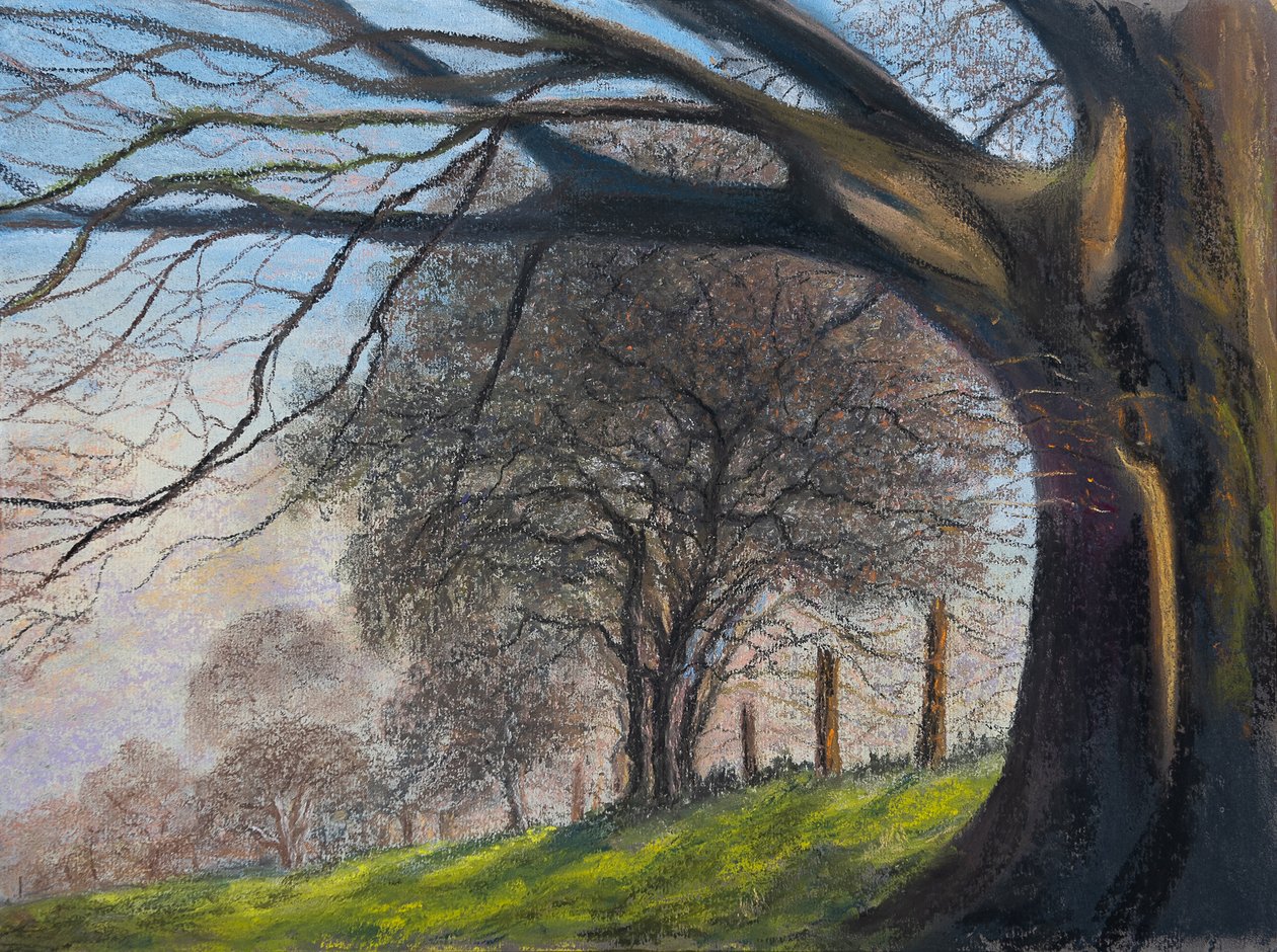 Vindblæste træer..Shroesbury, 2020 (pastel) af Margo Starkey