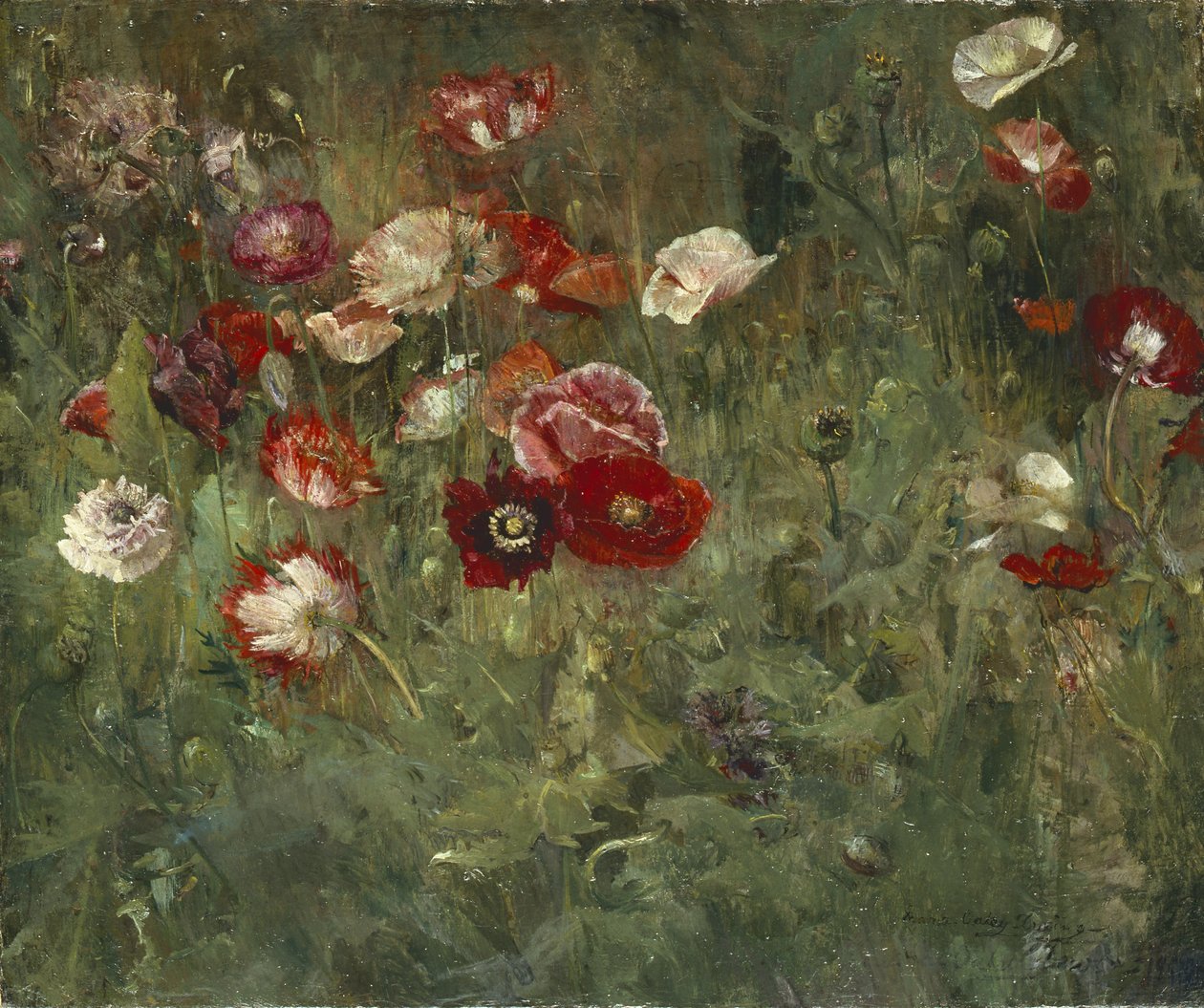 En seng af valmuer, 1909 af Maria Oakey Dewing