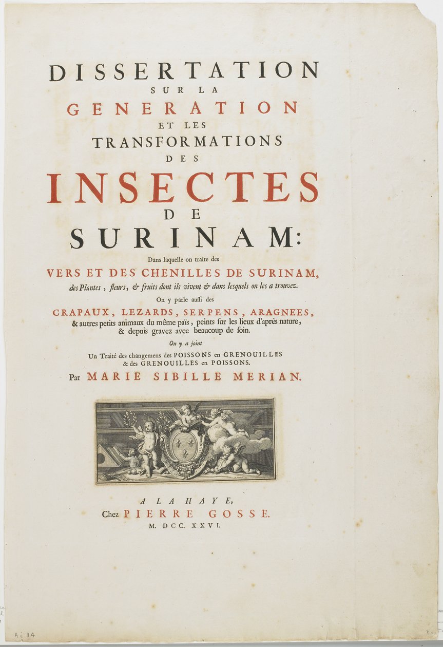Titelblad fra Metamorphosis Insectorum Surinamensium, 1726 (gravering og bogtryk) af Maria Sibylla Merian