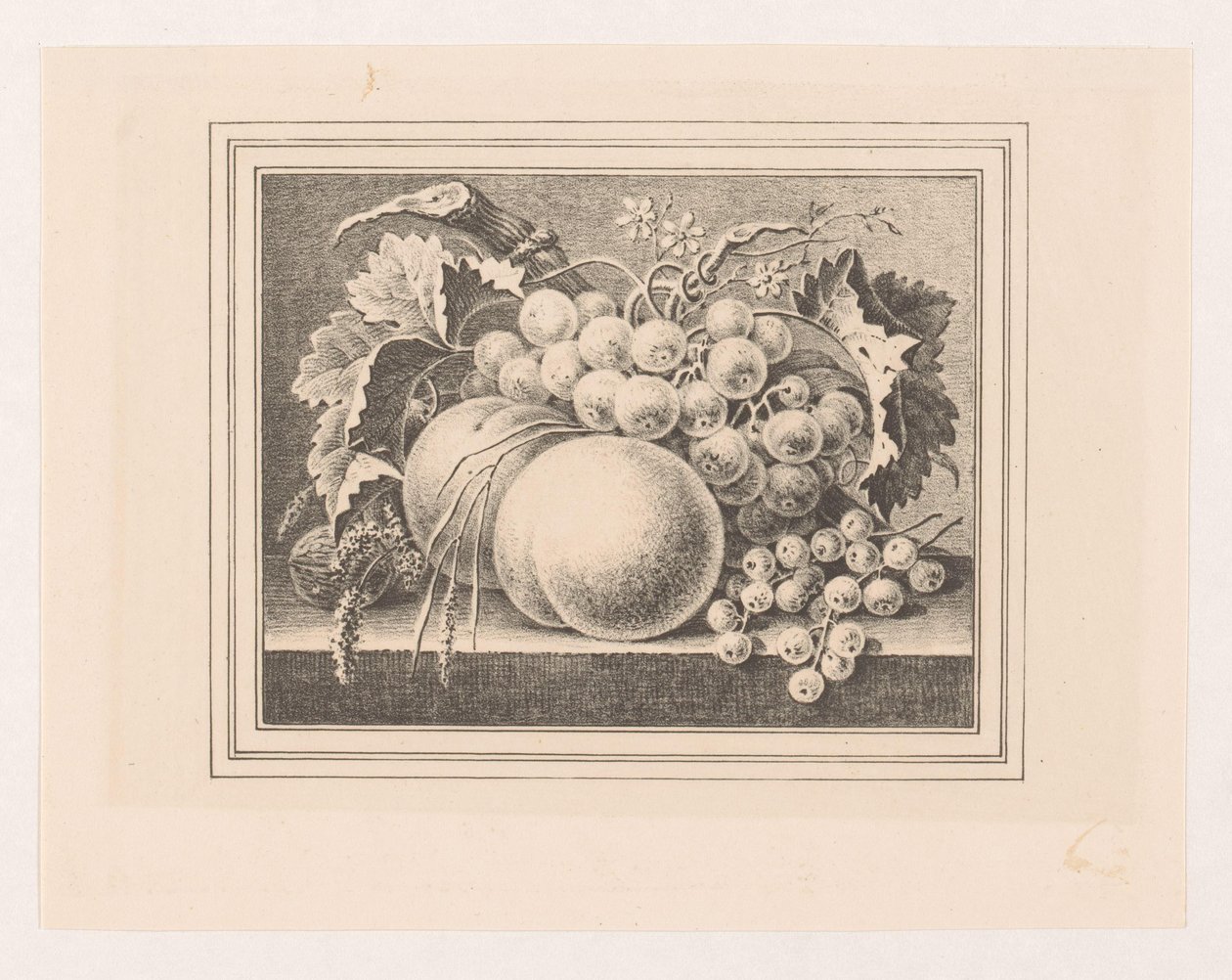 Sammensætning med frugter i en ramme af Maria Geertruida de Goeje Barbiers (attributed to)