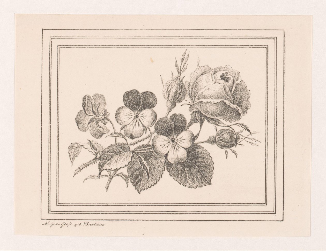 Rose og violer af Maria Geertruida de Goeje Barbiers