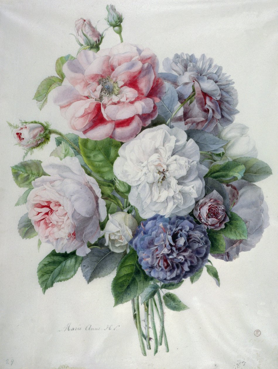 Blomsterstykker af Marie Anne