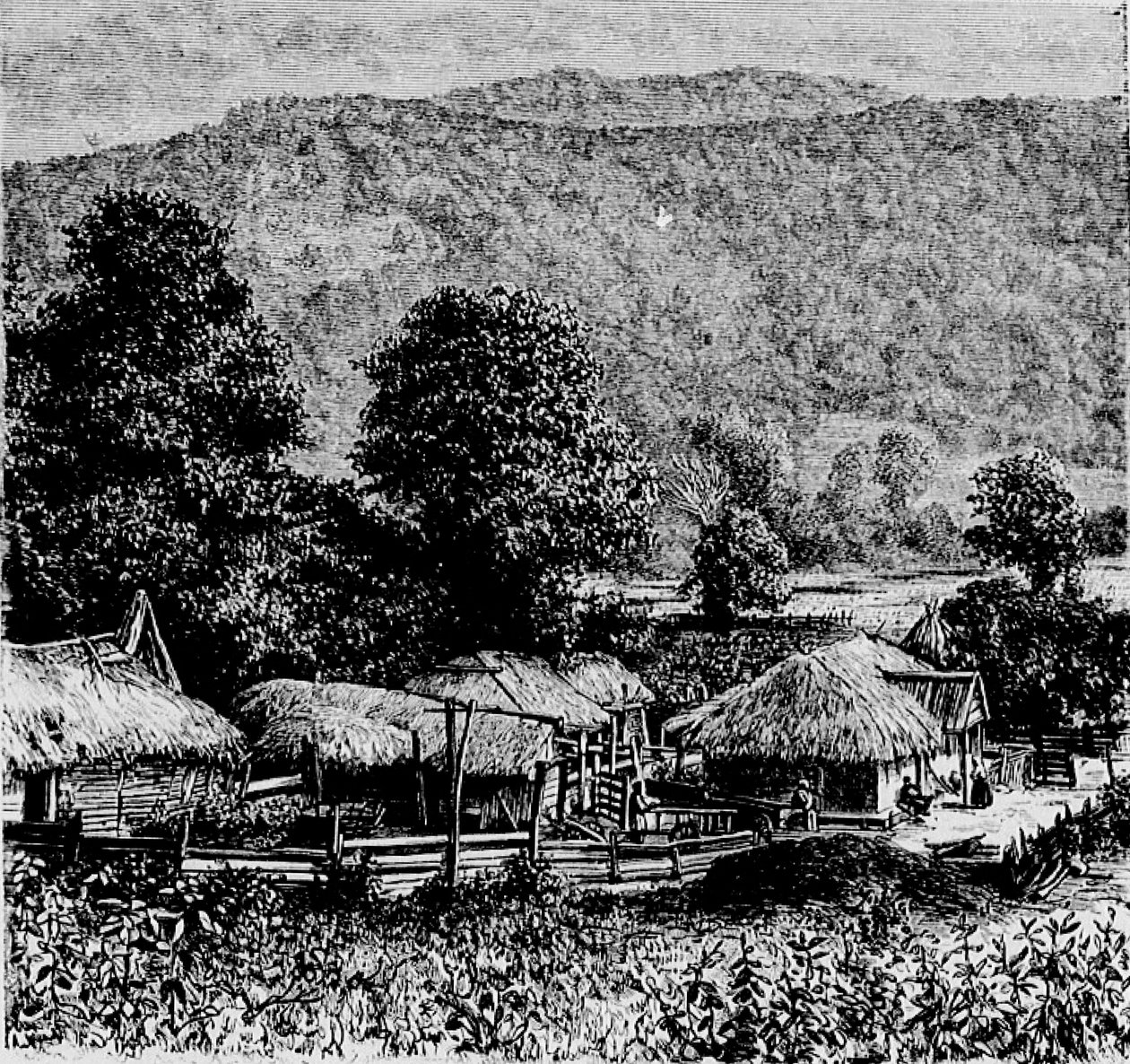 Village mingrèlien af Marie Dronsart
