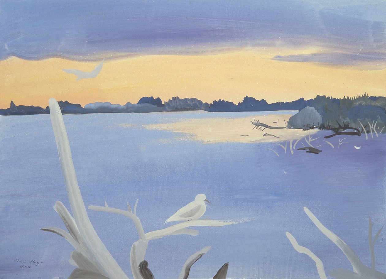 Le Rhone au Gabian, 1987 af Marie Hugo