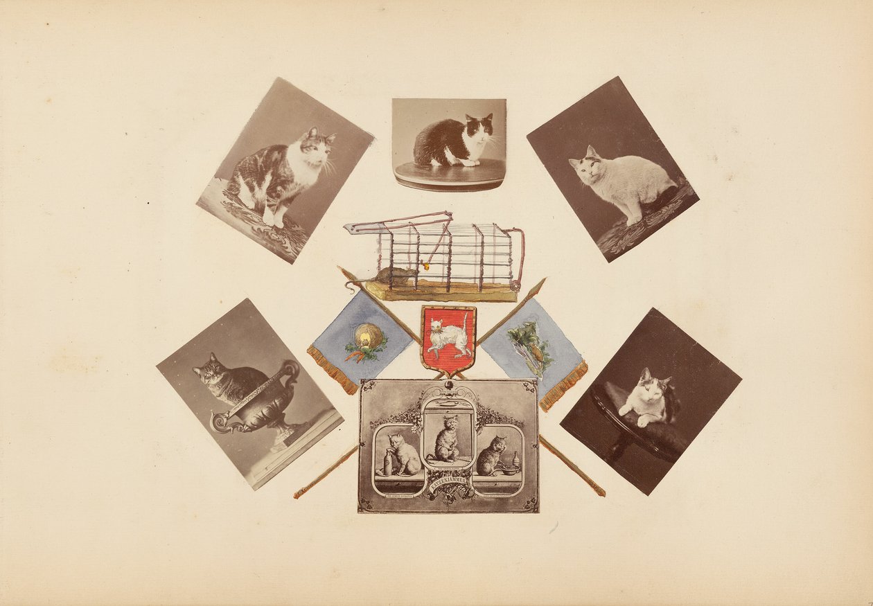 Madame B-albummet af Marie Blanche Hennelle Fournier