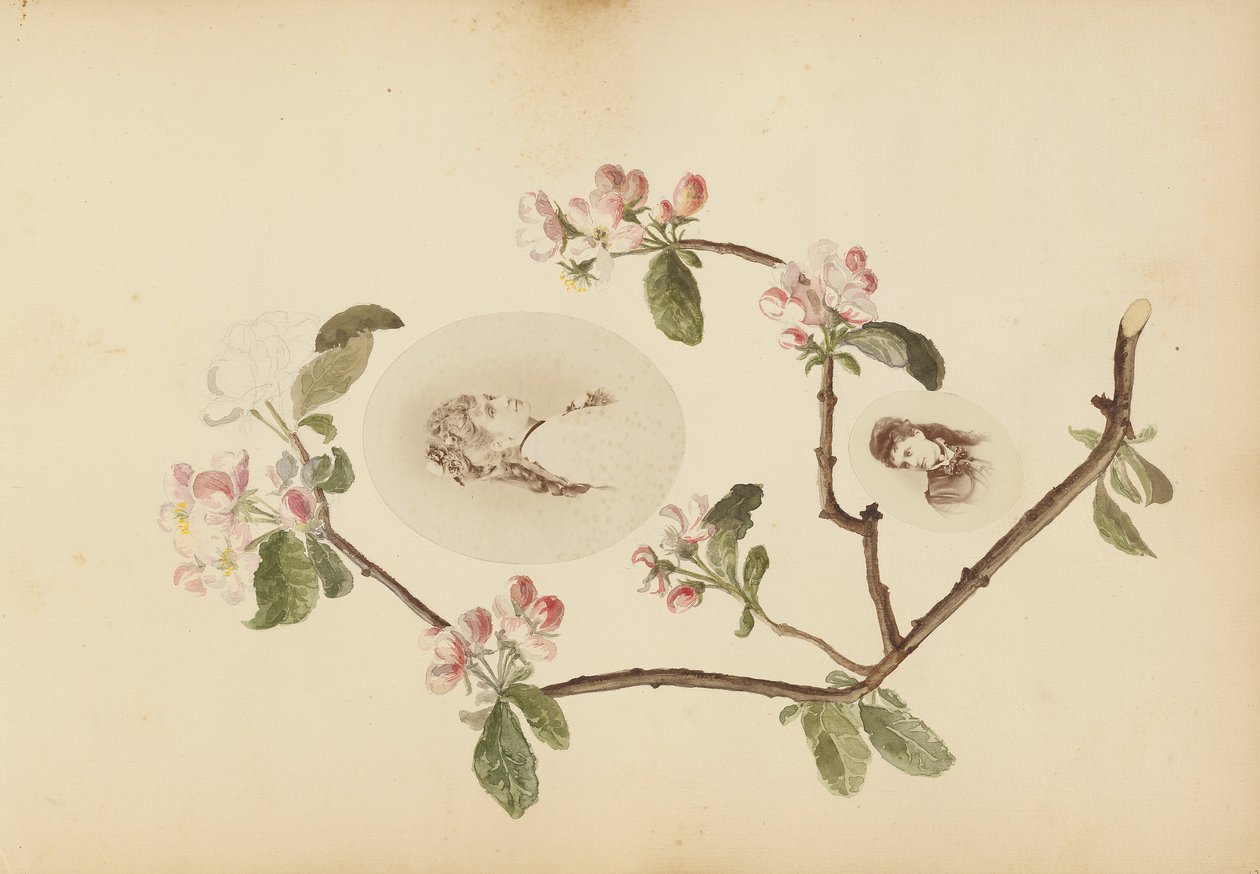 Madame B-albummet af Marie Blanche Hennelle Fournier