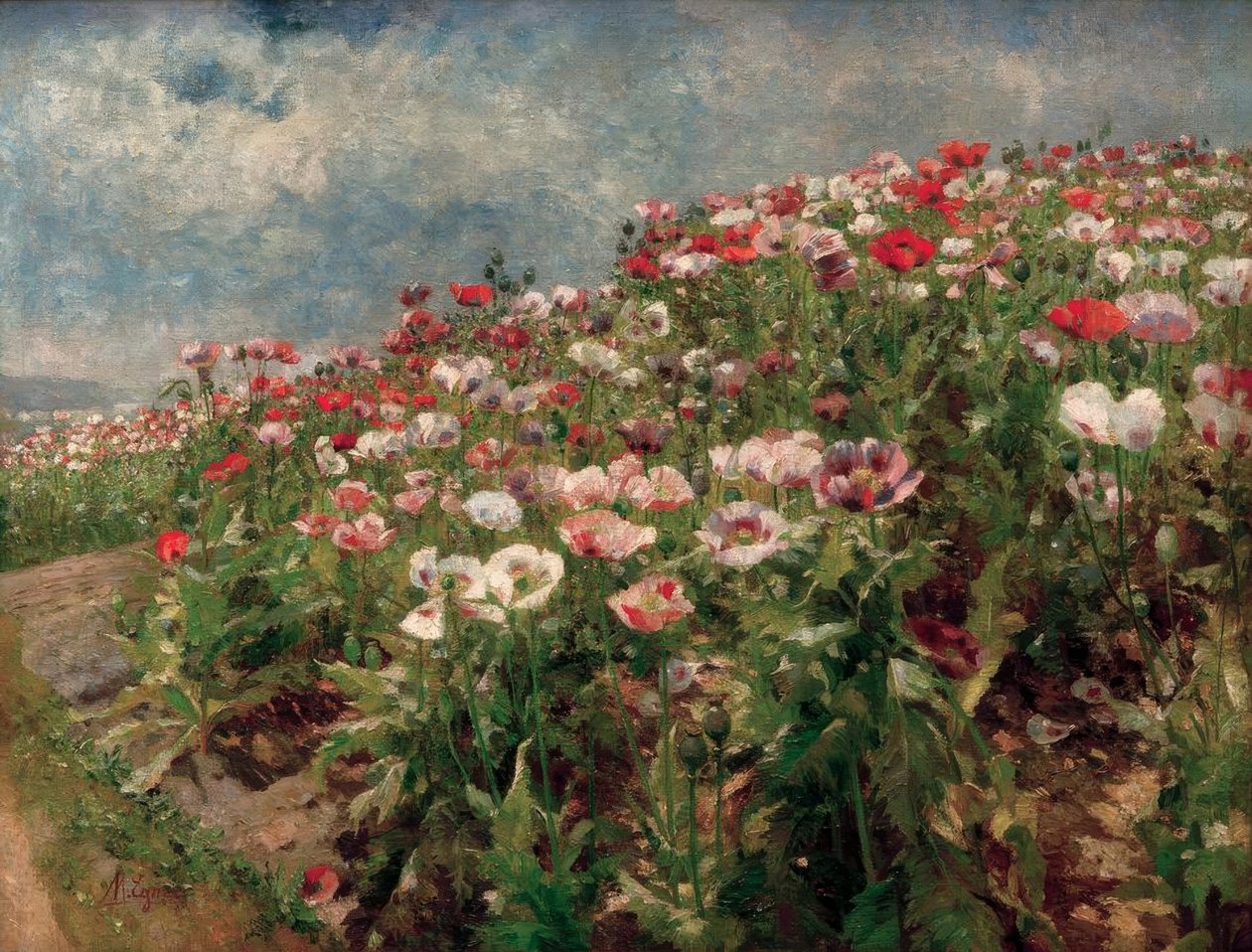 Blomstrende valmue, motiv fra St. Georgen ved Melk af Marie Egner