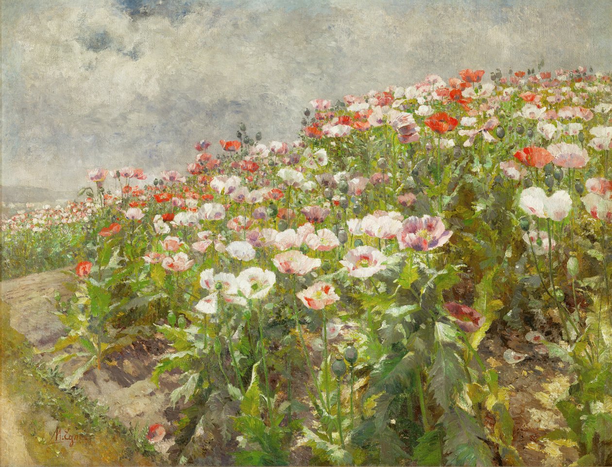 Valmuer i blomst (olie på lærred) af Marie Egner
