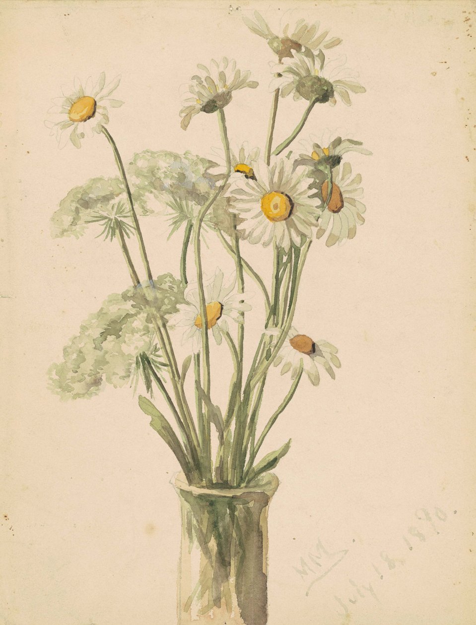 Tusindfryd og dronningespids i en vase, 1890 (akvarel og grafit på papir) af Marietta Minnegerode Andrews