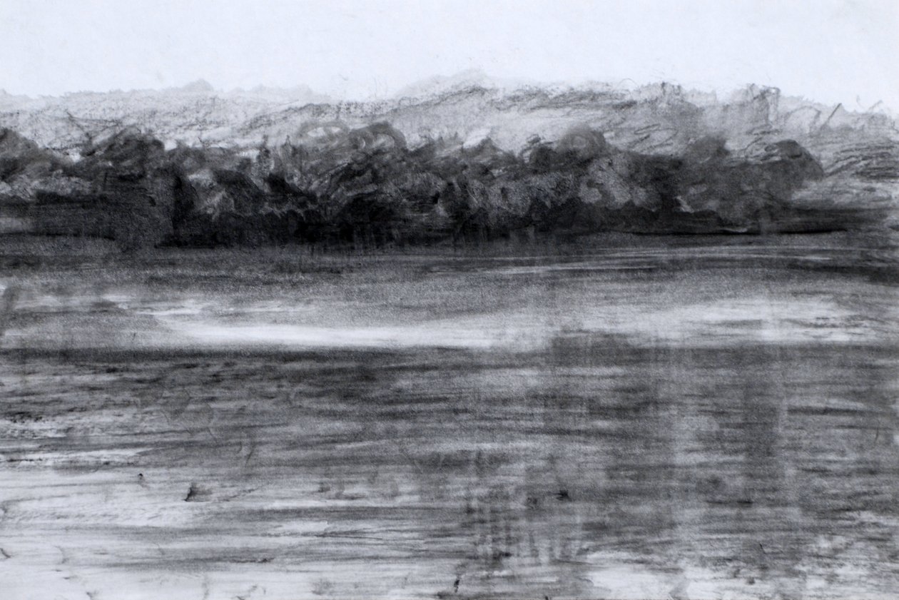 The Lake, 2023 (olie og kul på papir) af Marina Falco