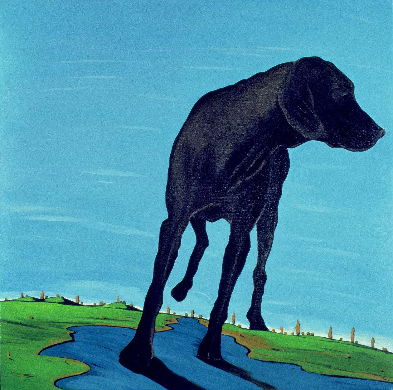 Joes Black Dog (ny visning), 2000 (akryl på lærred) af Marjorie Weiss