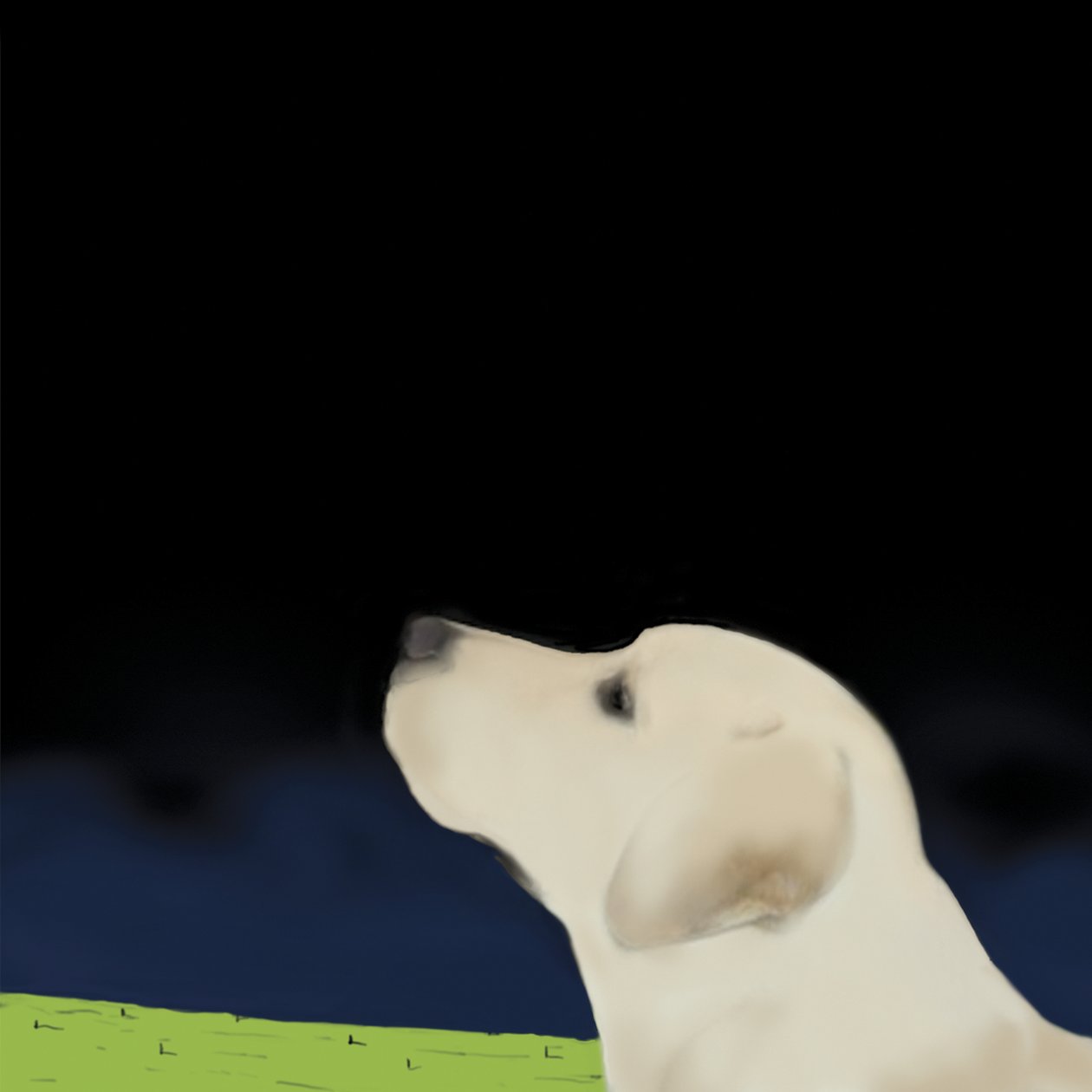 Yellow Dog Profile, 2008 (akryl på lærred) af Marjorie Weiss