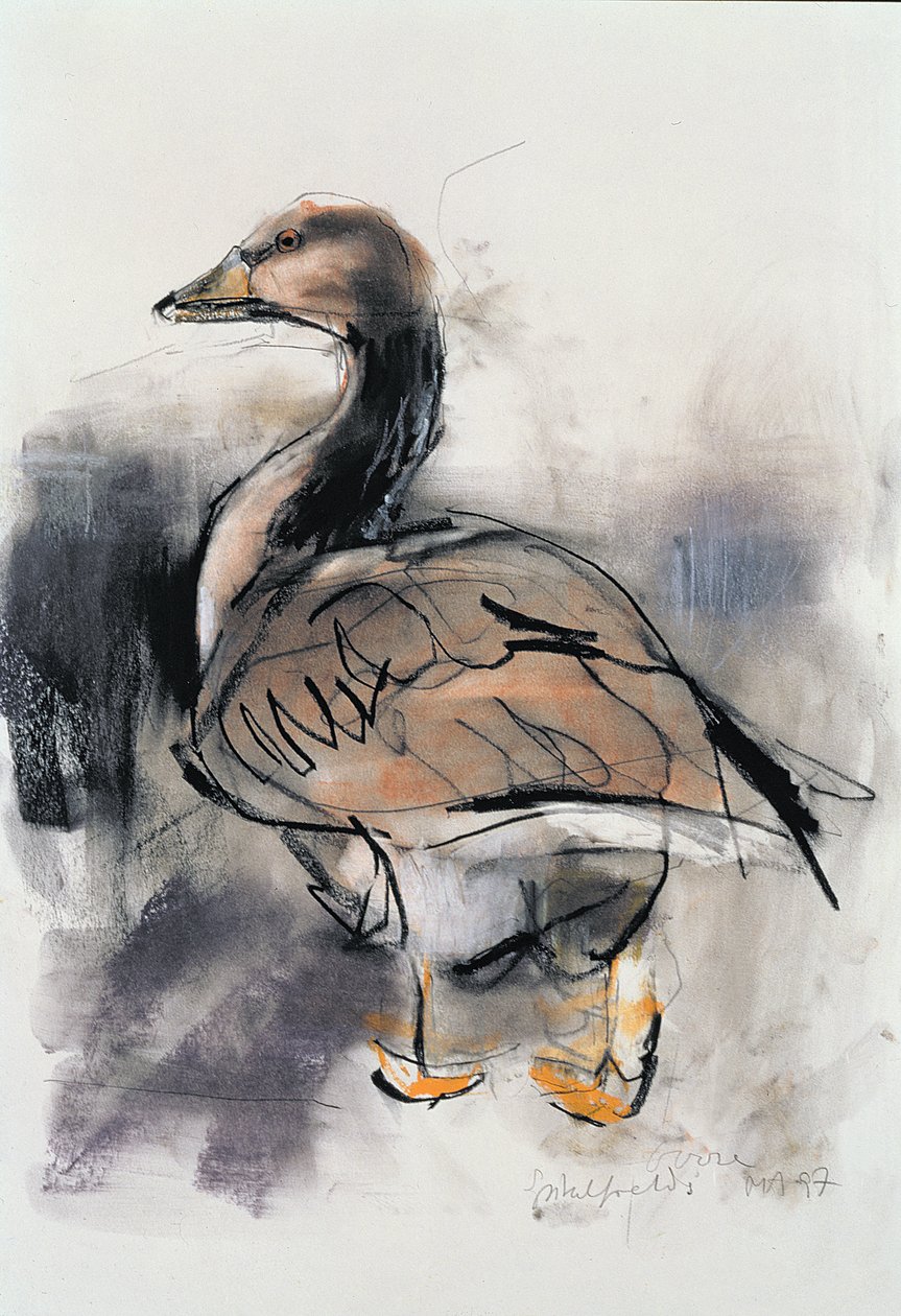 Spitalfields Goose, 1997 (grafit og conte på papir) af Mark Adlington