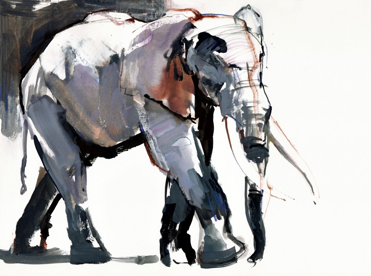 African Elephant, 2012, (blandet medier på papir) af Mark Adlington