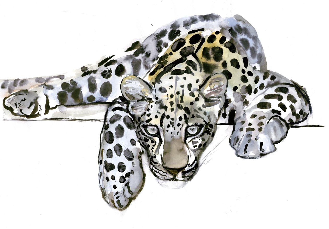 Arabisk leopard, 2008 af Mark Adlington