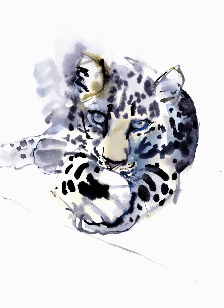 Arabisk leopard, 2008 af Mark Adlington