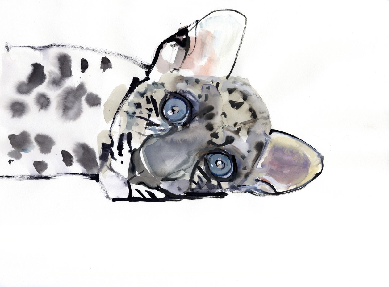 Arabisk leopard, 2008 af Mark Adlington