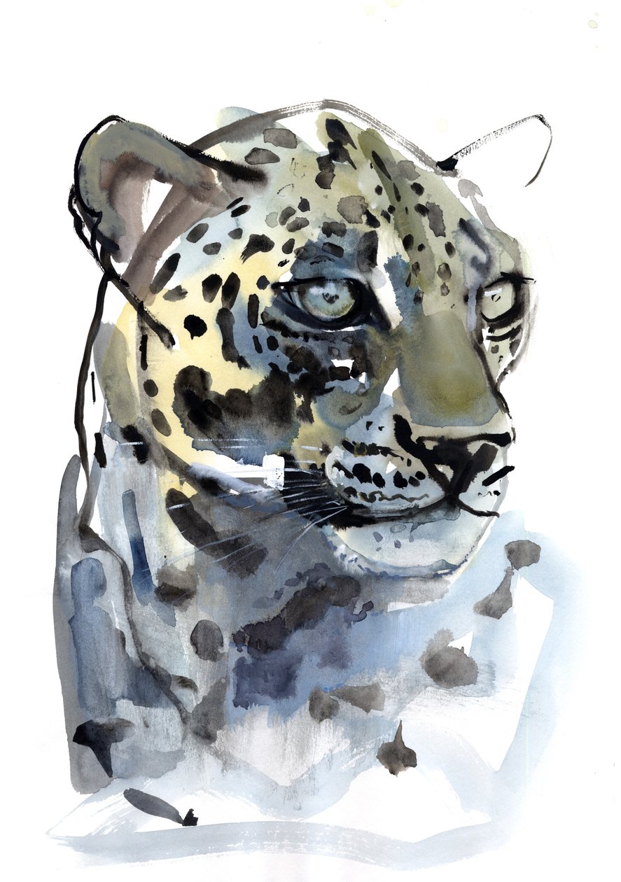 Arabisk leopard, 2008 af Mark Adlington