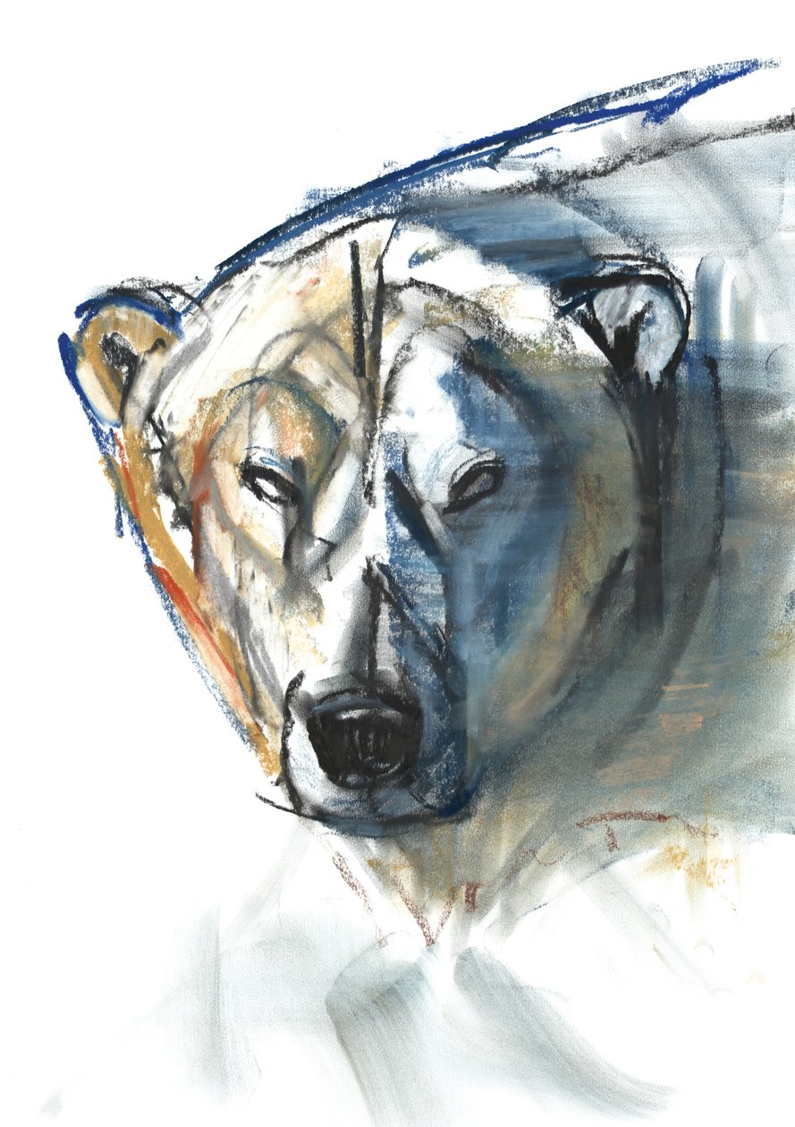 Arctic Icon, 2015, (conté og pastel på papir) af Mark Adlington