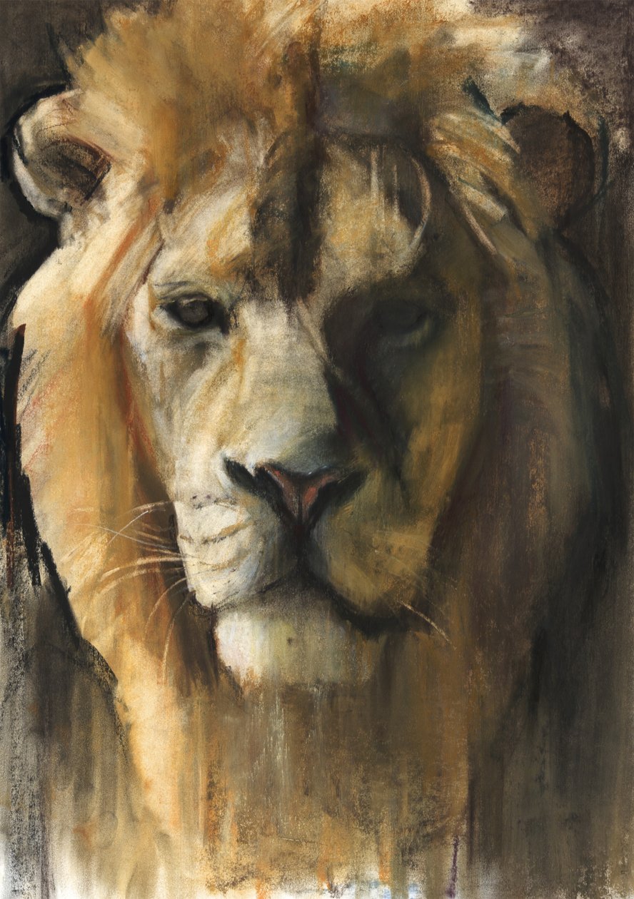 Asiatic Lion, 2015, (pigment, pastel og conté på papir) af Mark Adlington
