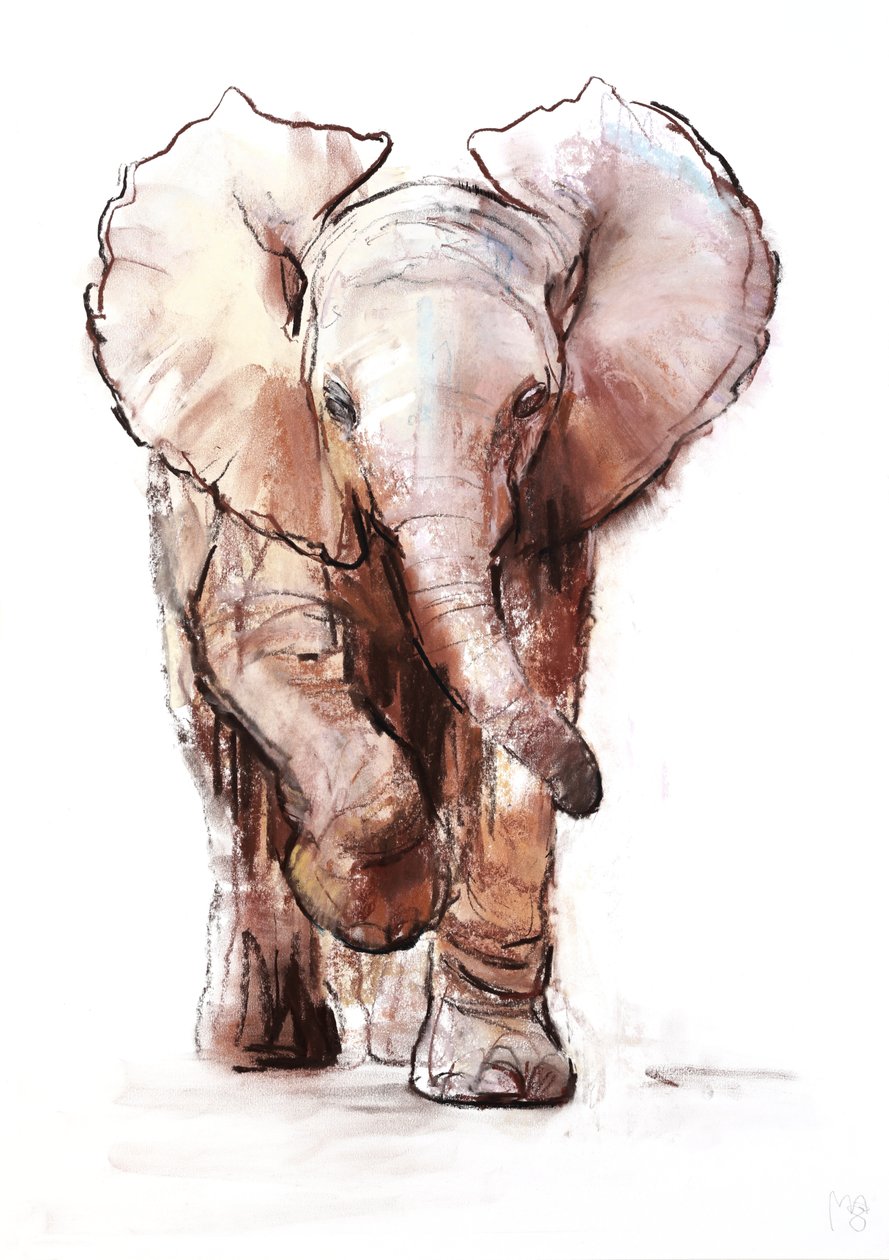 Baby elefant, Loisaba, 2018 af Mark Adlington