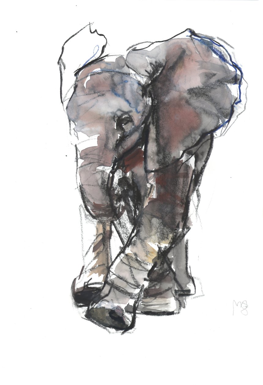 Babyelefantundersøgelse, 2018 af Mark Adlington
