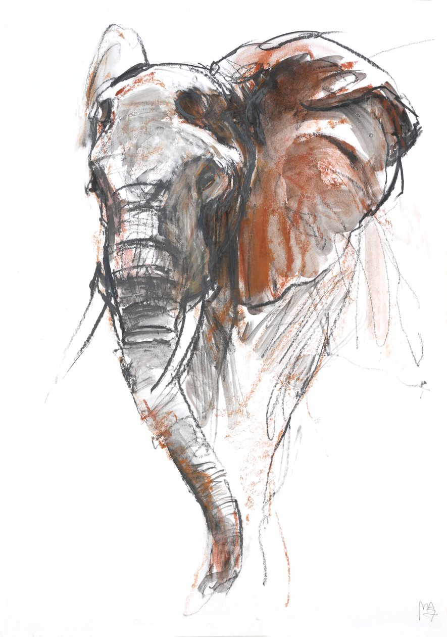 Smuk kvindelig elefant, Loisaba, 2018 af Mark Adlington