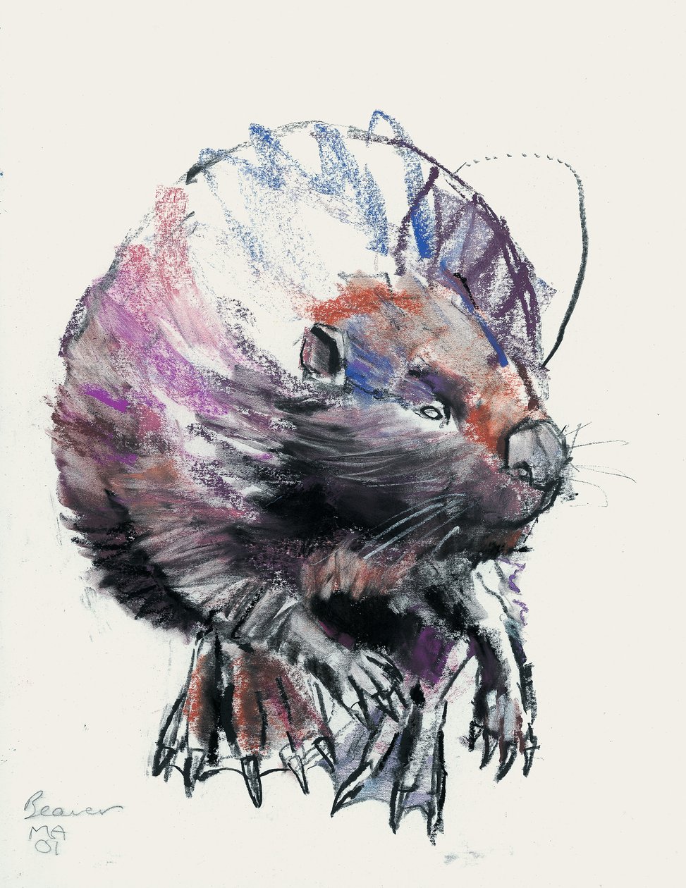 Beaver, 2001 (trækul og conte på papir) af Mark Adlington