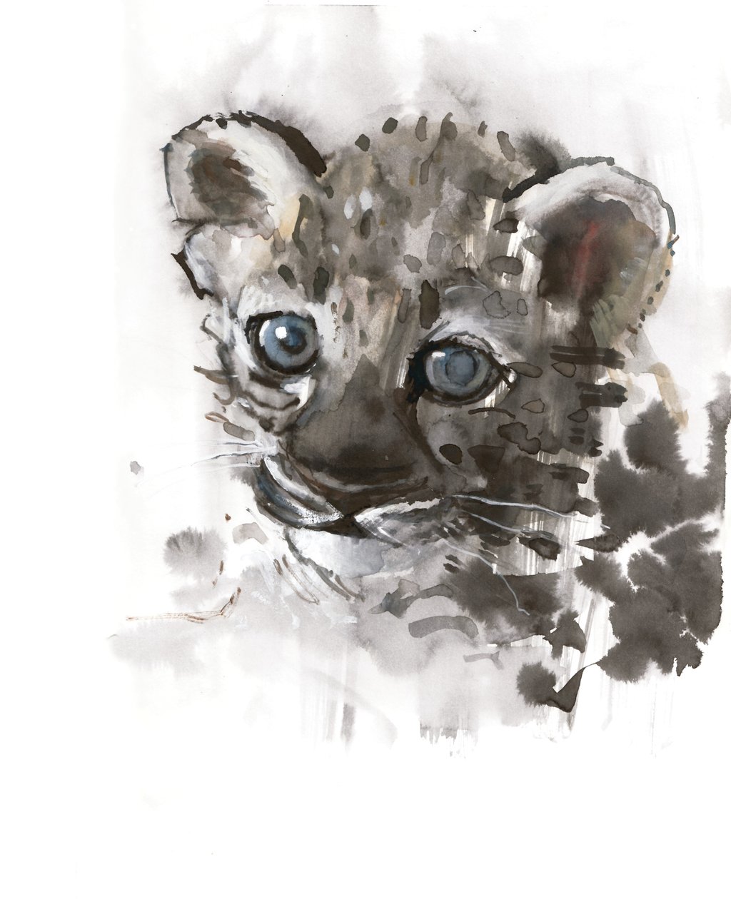 Blue Eyes (arabisk leopardunge), 2008 af Mark Adlington