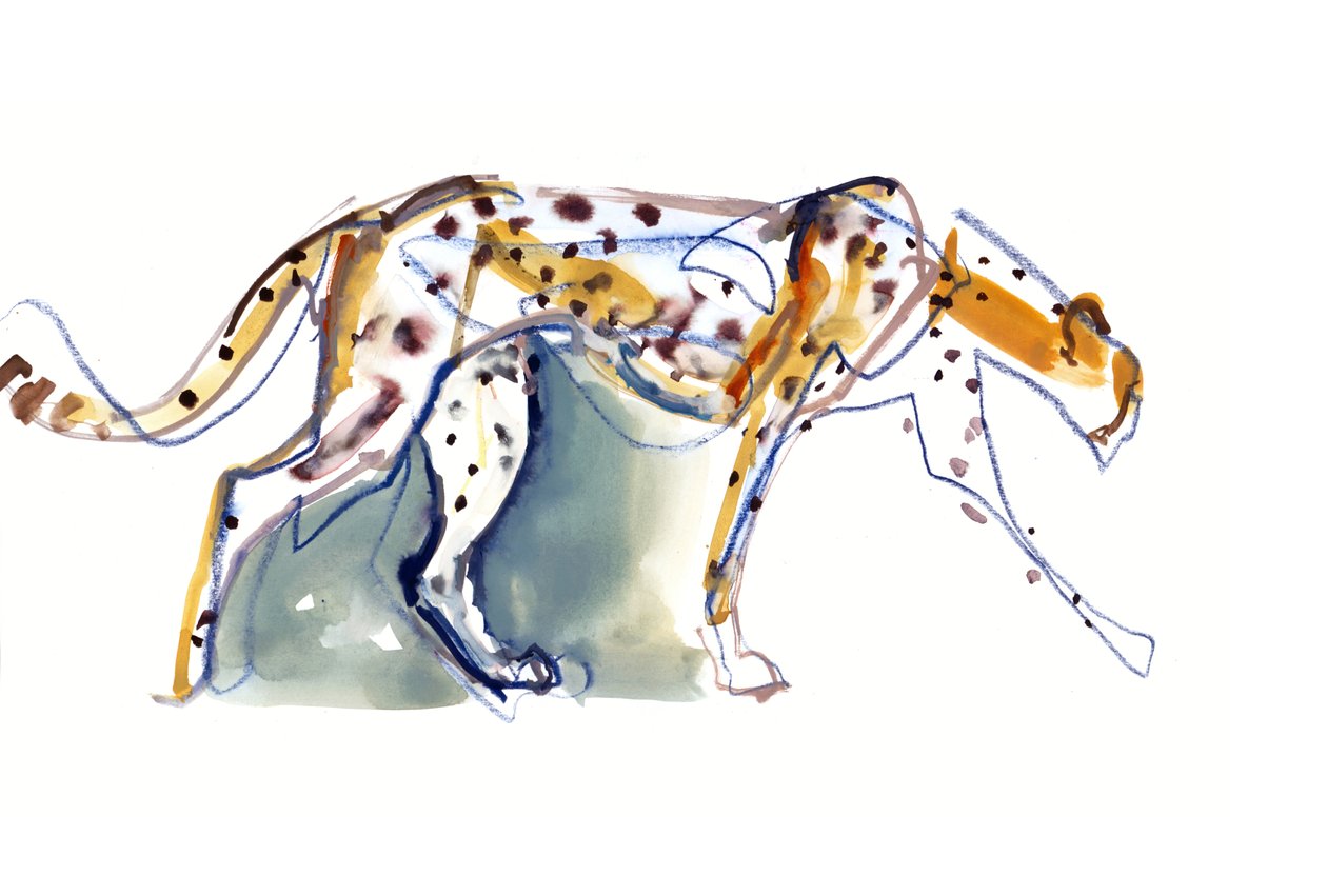 Cheetah, 2022 af Mark Adlington