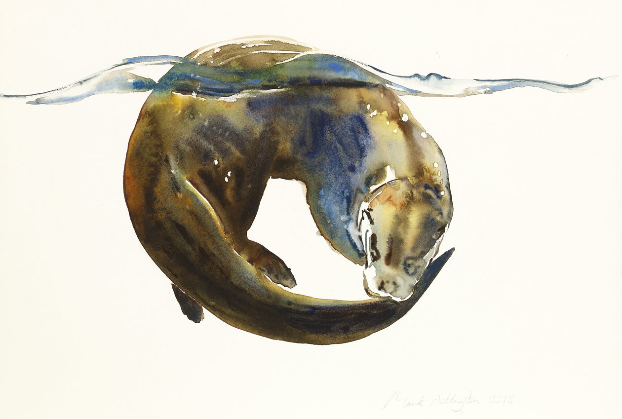 Circle of life, 2014, (akvarel på papir) af Mark Adlington