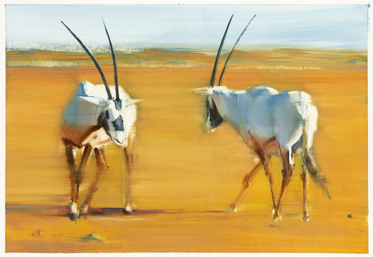 Circling Arabian Oryx, 2010 (olie på papir) af Mark Adlington