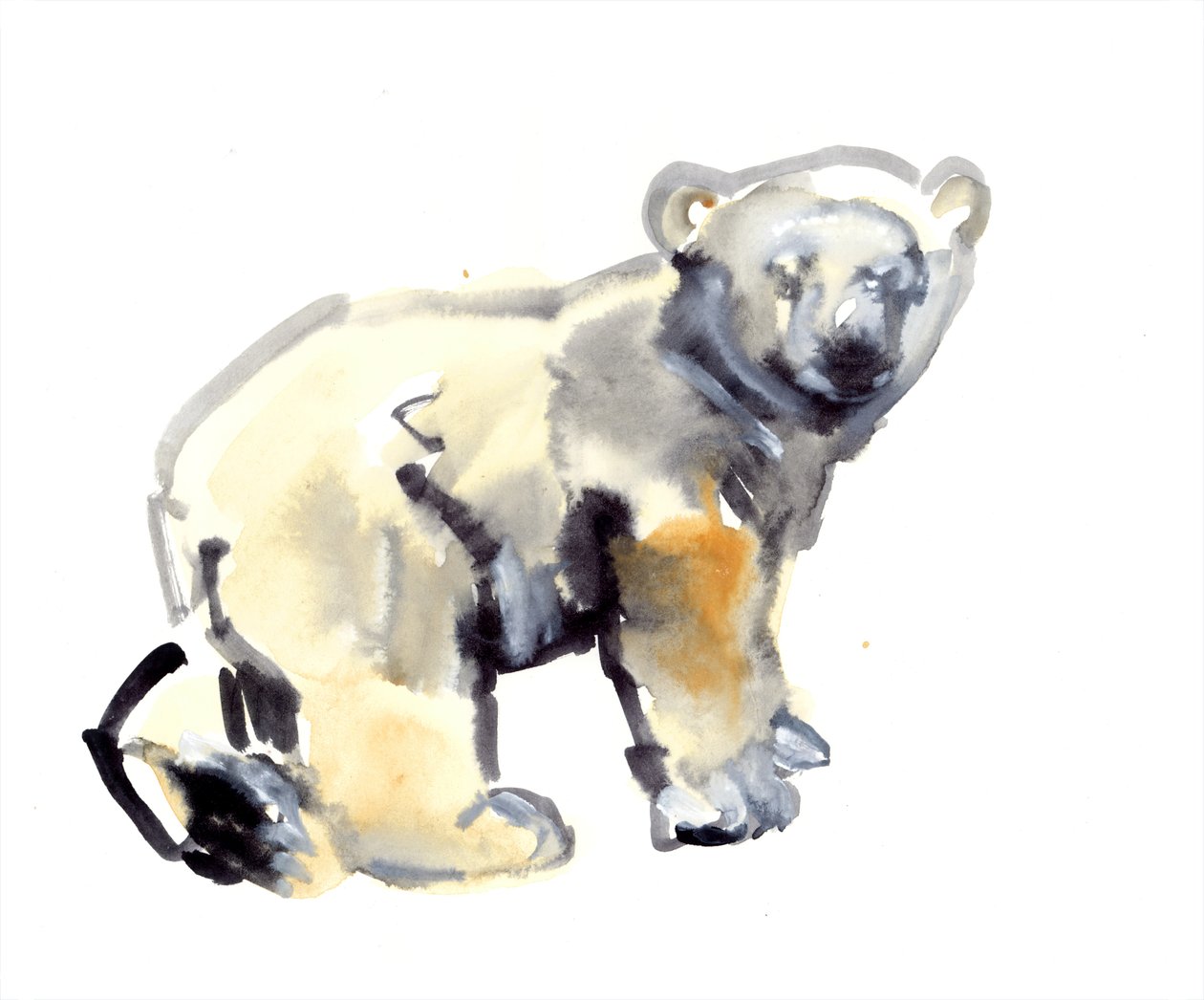 Cub, 2015, (akvarel og gouache på papir) af Mark Adlington
