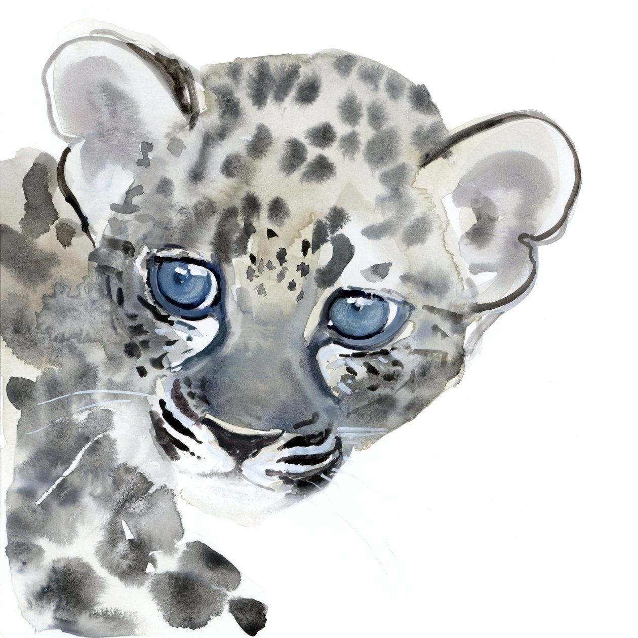 Cub, 2015, (akvarel på papir) af Mark Adlington