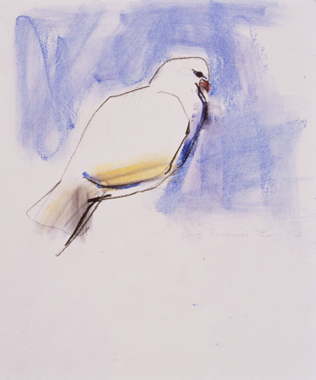 Dove, Trasierra, 1998 (grafit, trækul og conte på papir) af Mark Adlington