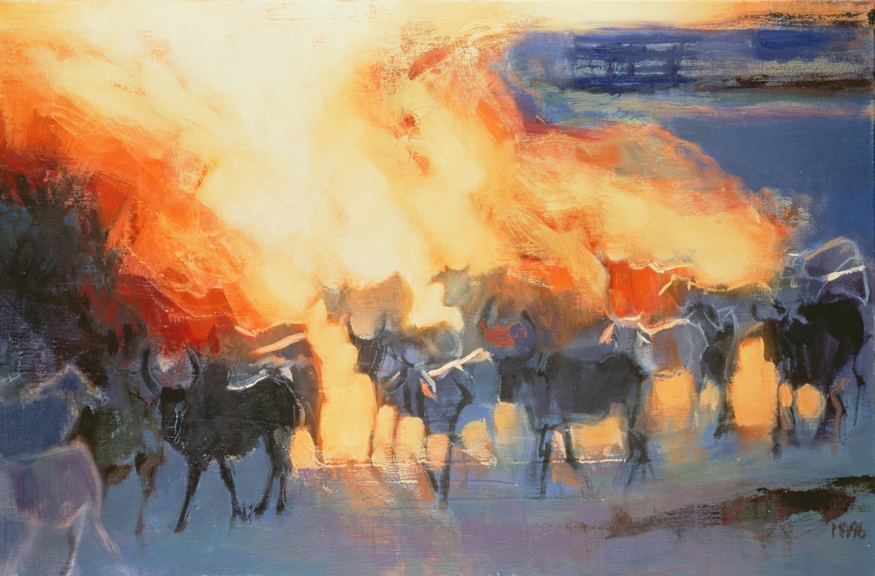 Dust Cloud, Drung, 1996 af Mark Adlington