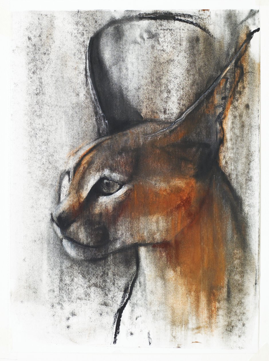 Egyptisk (Arabisk Caracal), 2009 (conte und charcoal på papir) af Mark Adlington