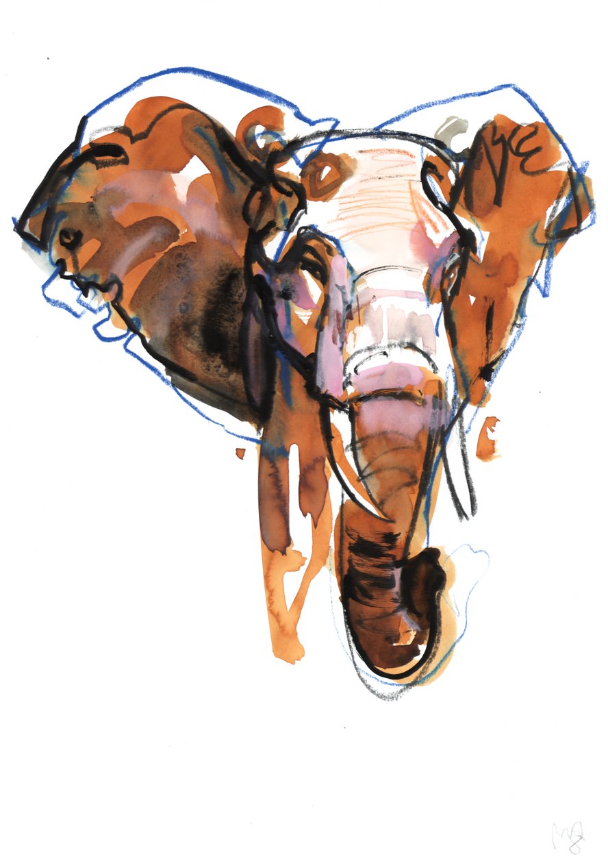 Elephant Head-undersøgelse, 2018 af Mark Adlington