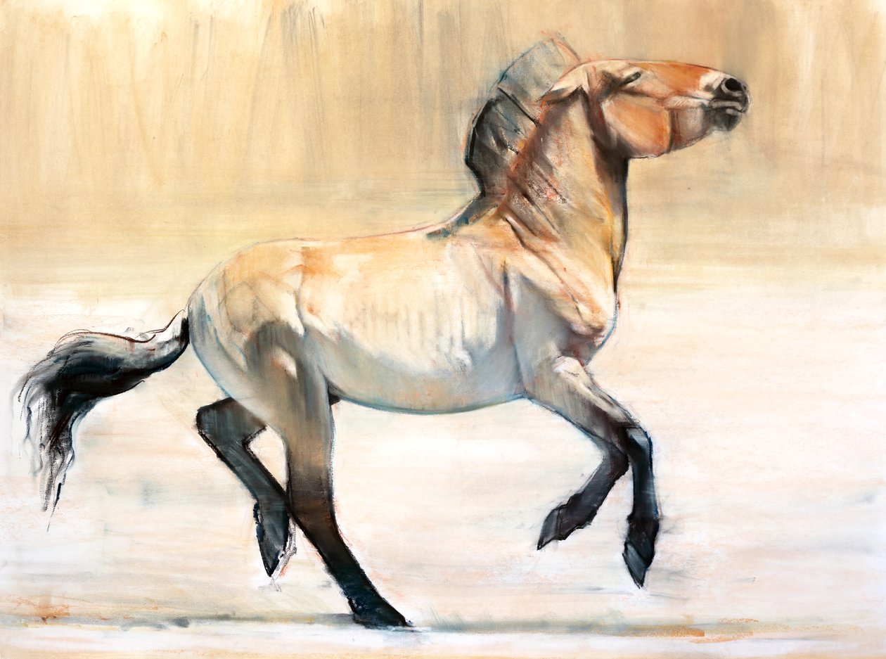 Equus (Przewalski), 2014, (pastel og trækul på papir) af Mark Adlington