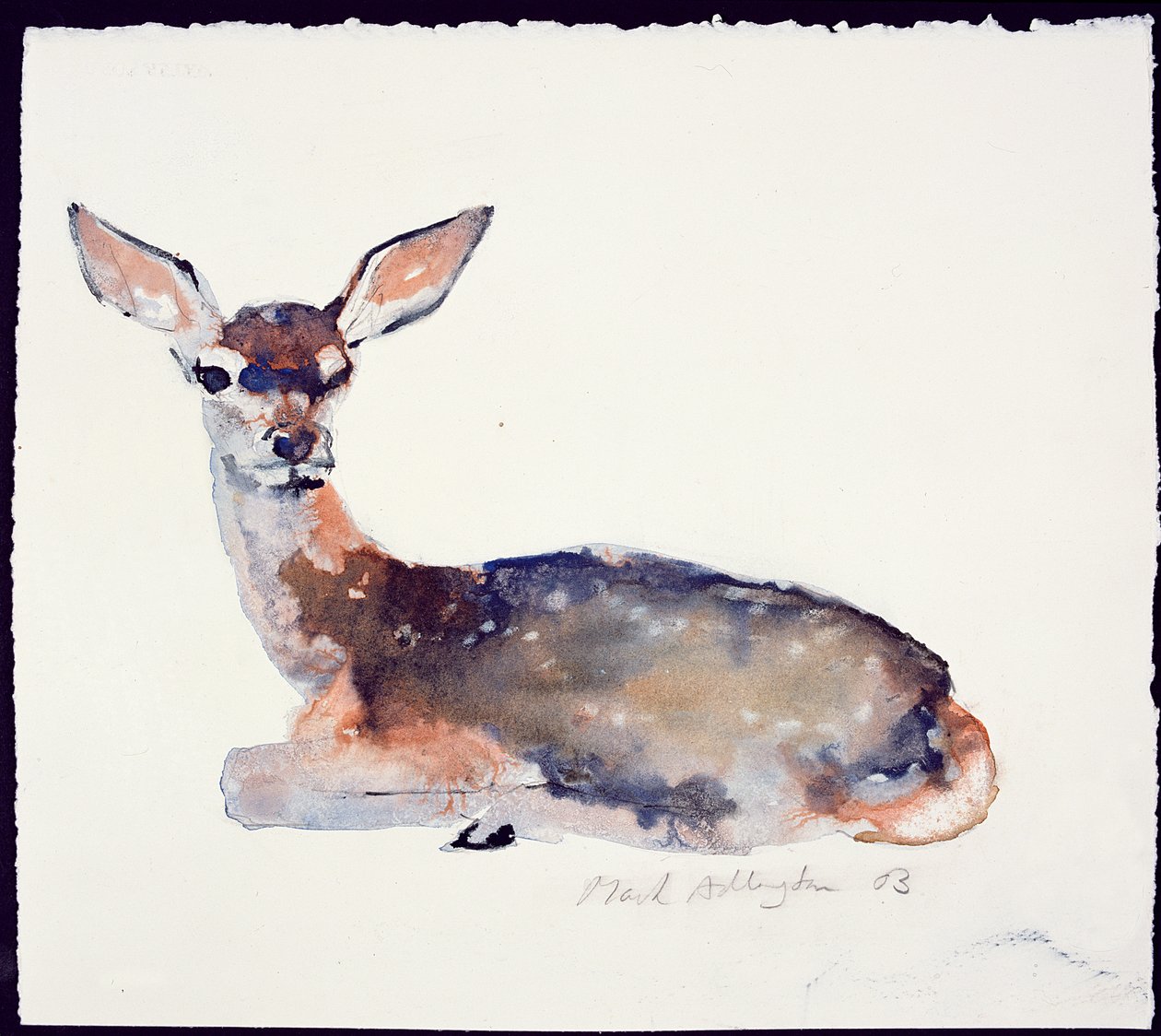 Fawn, 2003 (blæk og akvarel på papir) af Mark Adlington