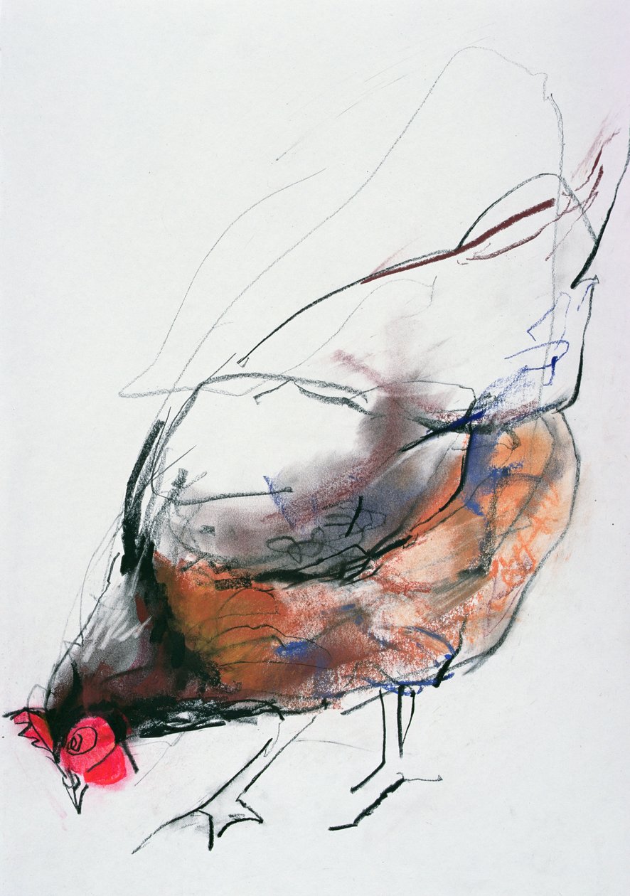 Feeding Hen, Trasierra, 1998 (grafit, conte og trækul på papir) af Mark Adlington