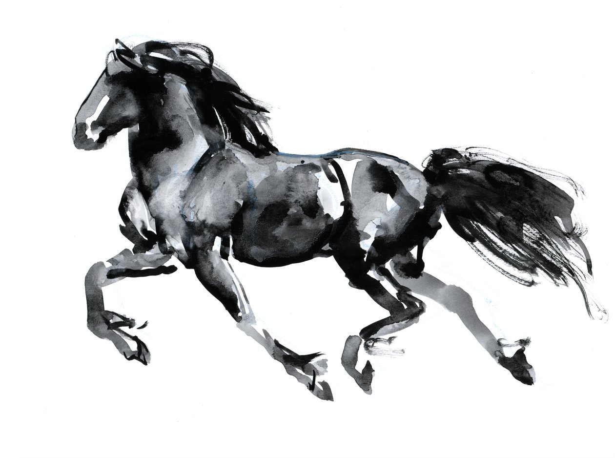 Flying Friesian, 2015, (kinesisk blæk på papir) af Mark Adlington