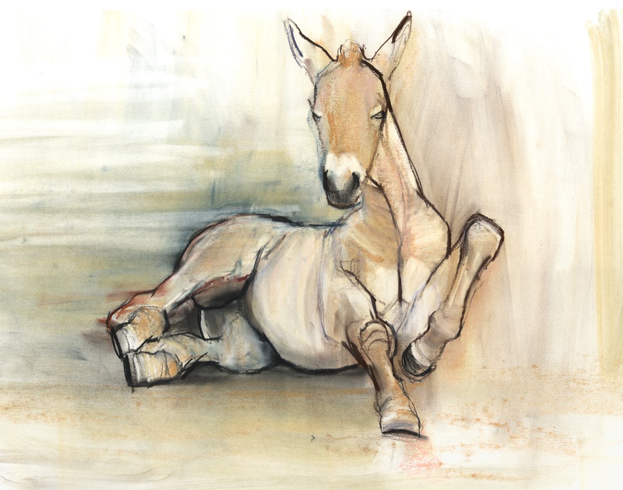 Føl, 2012, (charcoal conté og pastel på papir) af Mark Adlington