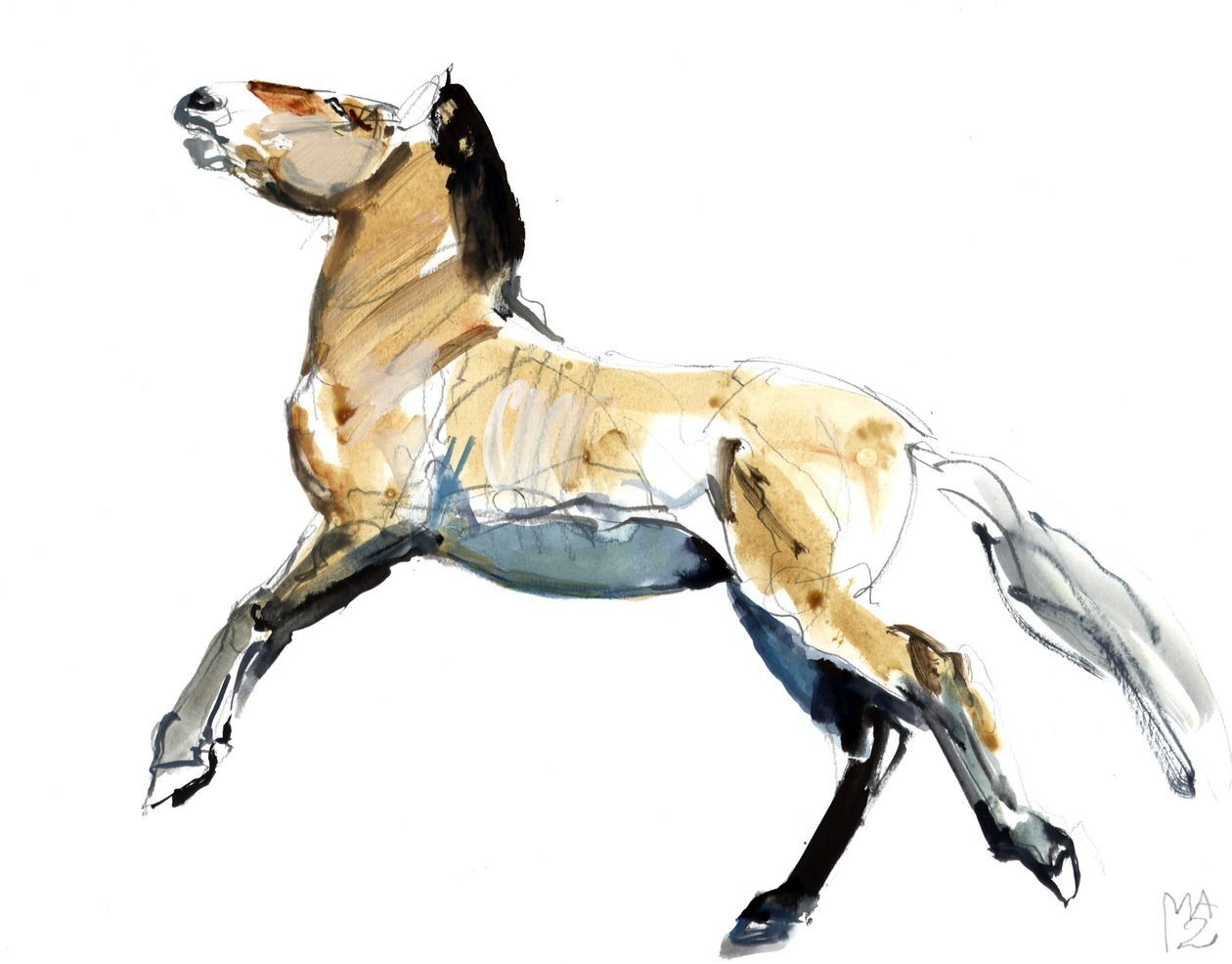 Gratis (Przewalski),2012, (blandet medier på papir) af Mark Adlington