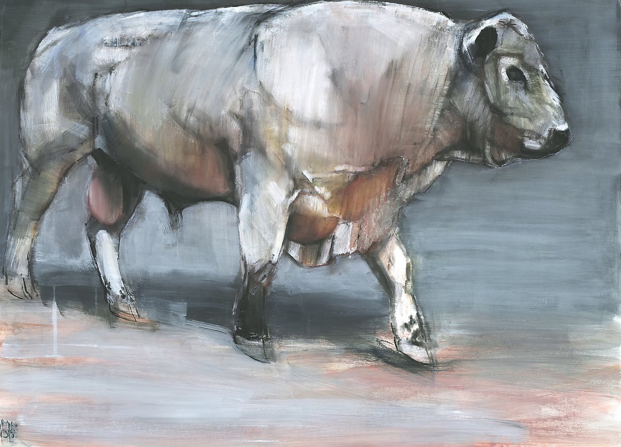 Fresno, Galloway Bull (blandet medier på papir) af Mark Adlington