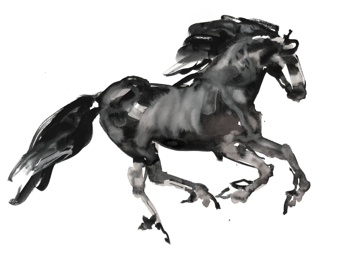 Galop, 2015, (blæk og akvarel på papir) af Mark Adlington