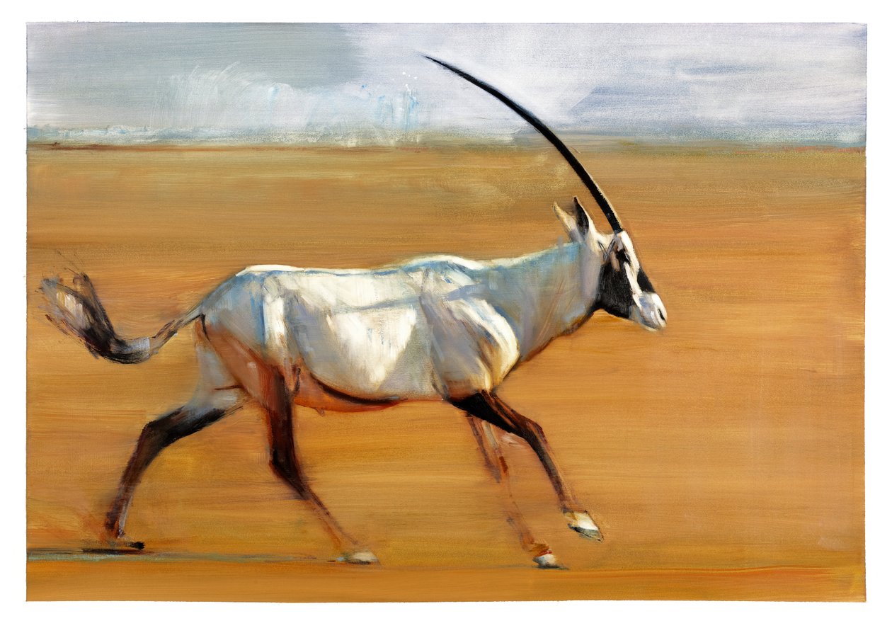 Galoping Oryx, 2010 (olie på papir) af Mark Adlington