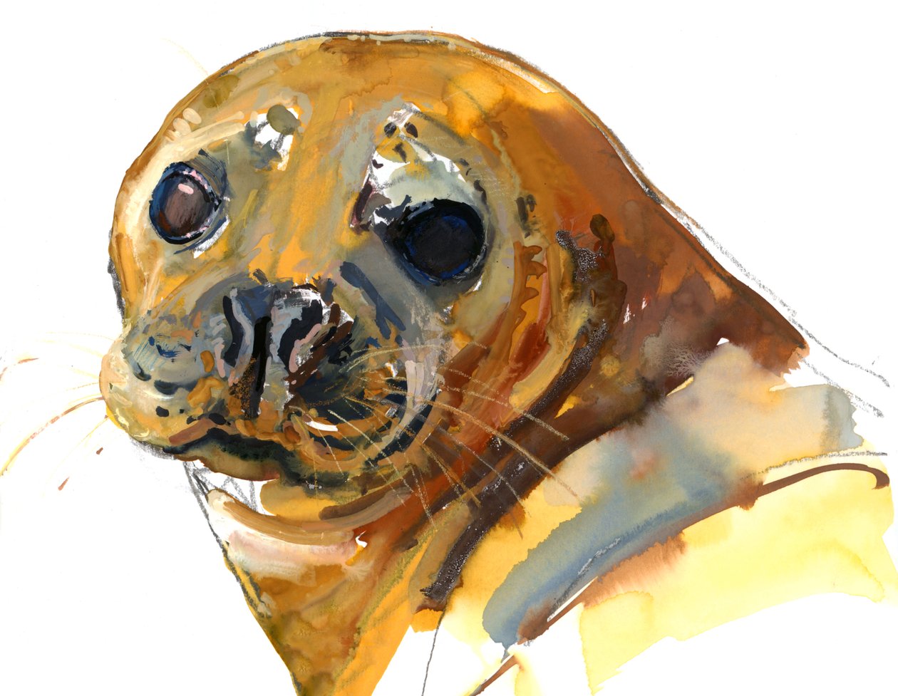 Ginger Pup, Westcove, 2023 af Mark Adlington