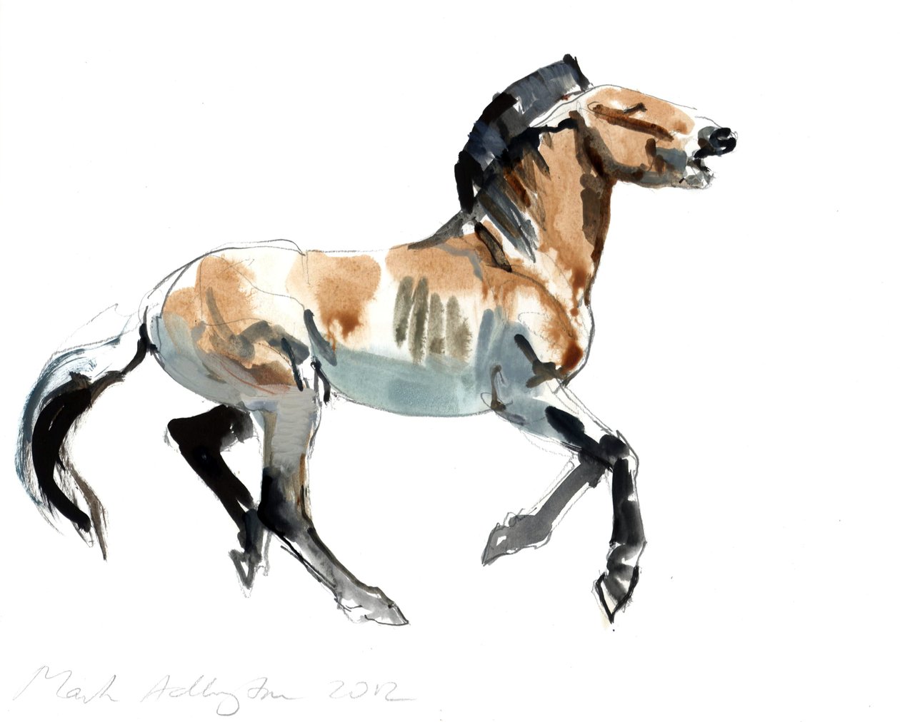 Græsk (Przewalski), 2012, (blandet medier på papir) af Mark Adlington